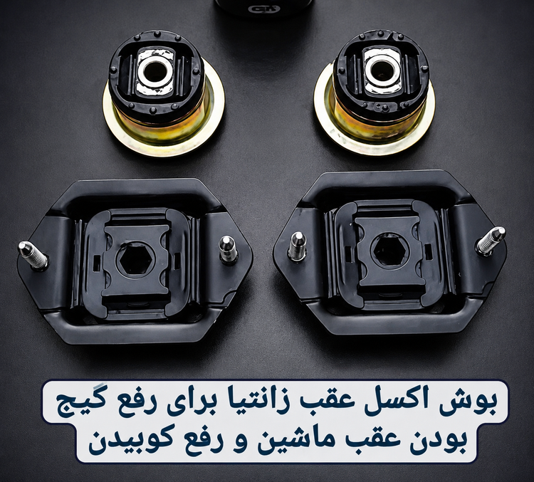 بوش اکسل زانتیا برند لاریزو